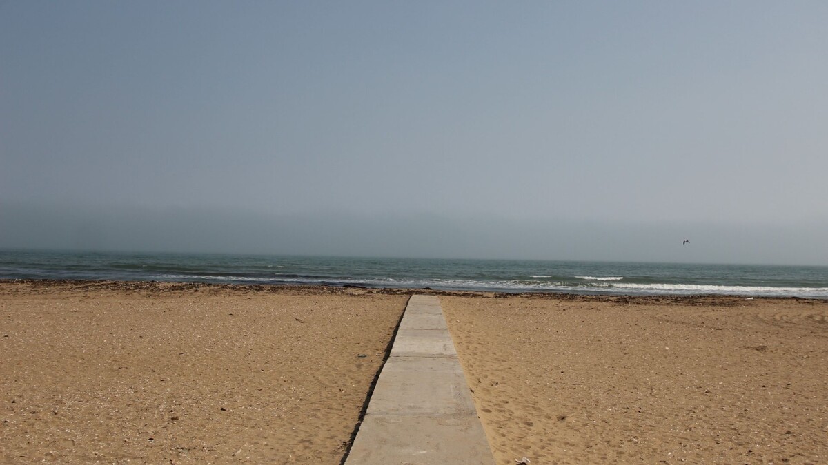     Источник: vostokmedia.com