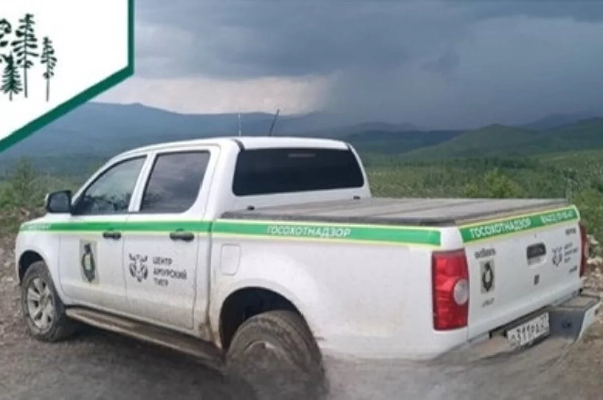    Охотинспекторы изъяли оружие у нарушителей в районах Хабаровского края