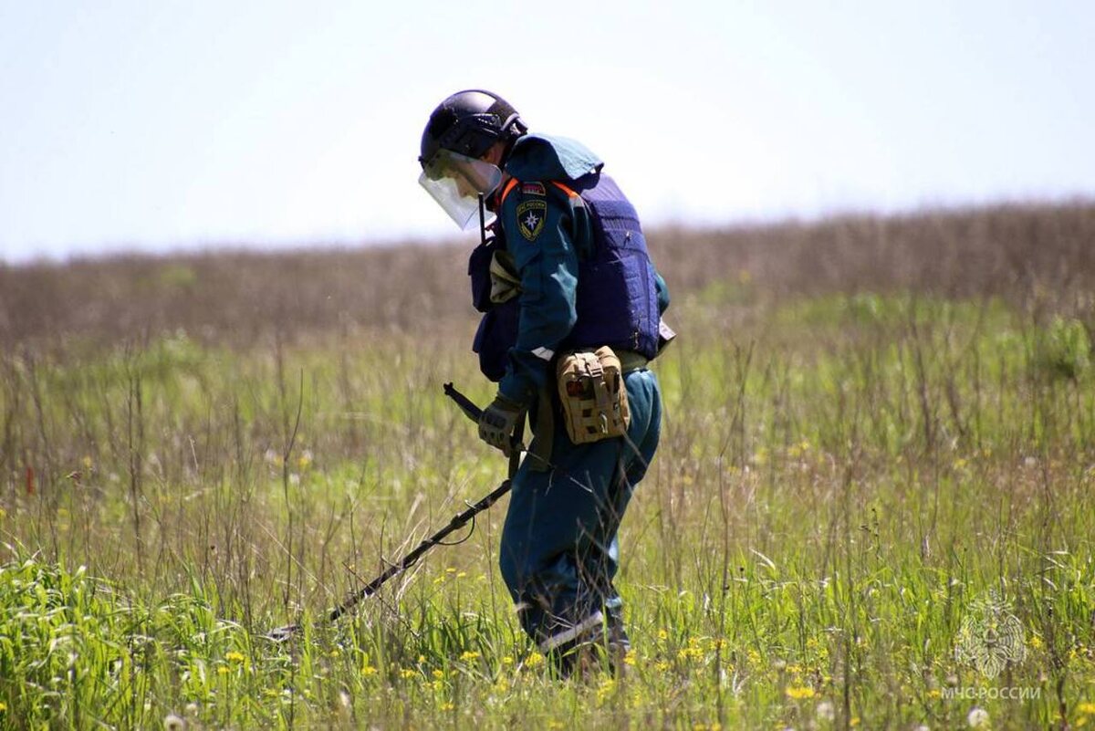    За сутки в Курской области обезвредили 340 взрывоопасных предметов