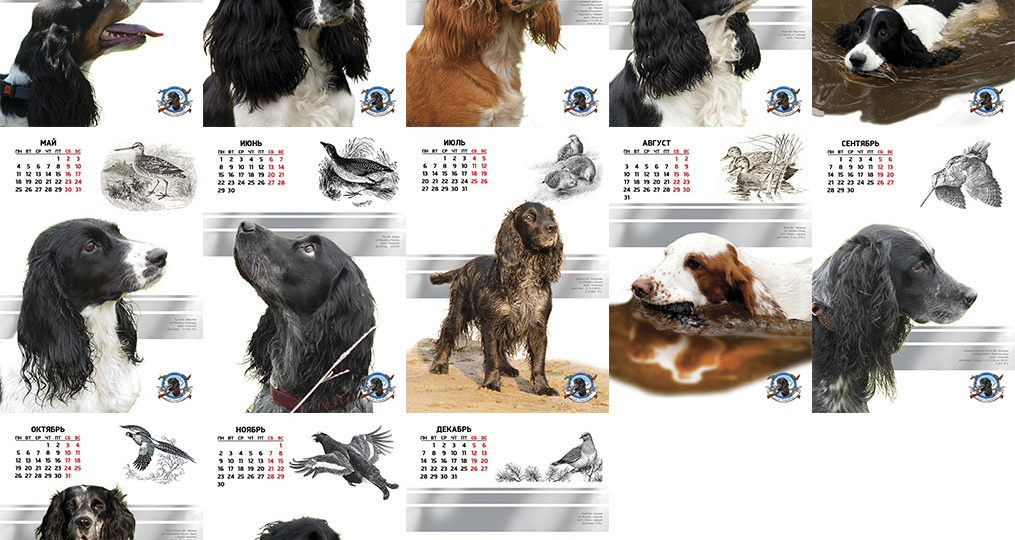 Собачьи календари. часть 2.