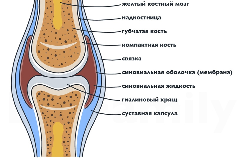 Методика восстановления суставов. От мелкой моторики и до... работа на результат