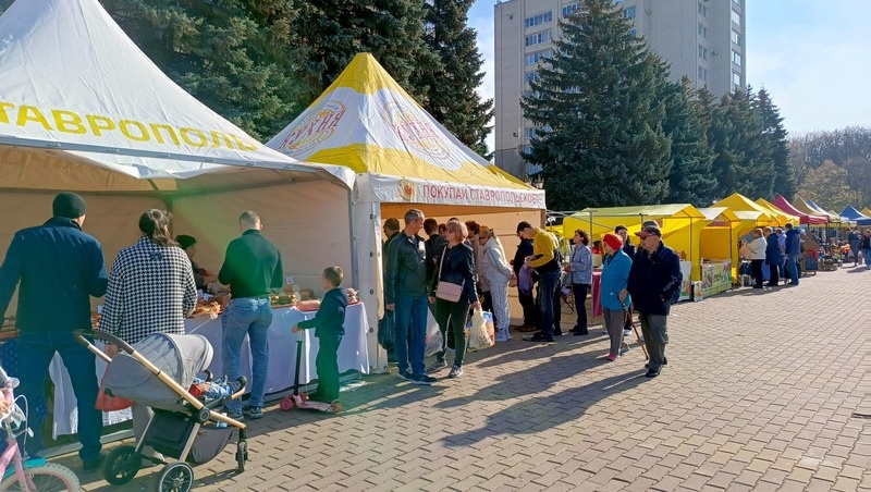      Фото: Дарья Куличенко / / ИА «Победа26»