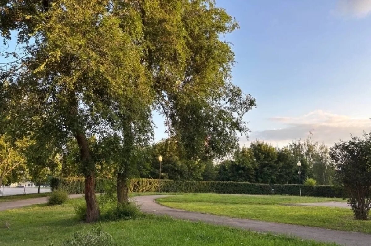    Афиша на 12 и 13 июля.