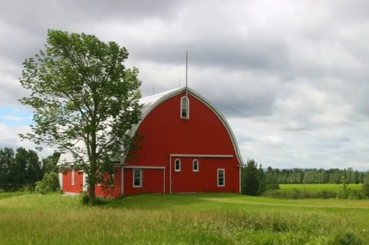    Попытка воронежца незаконно приобрести участок обернулась уголовным делом
