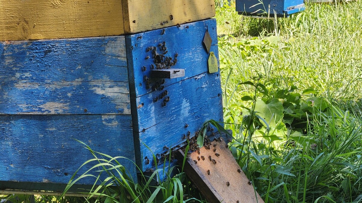     Источник: vostokmedia.com