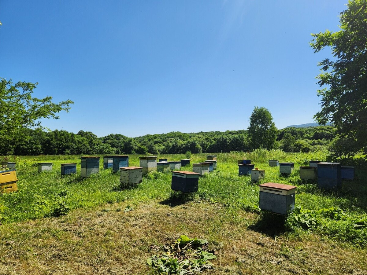     Источник: vostokmedia.com