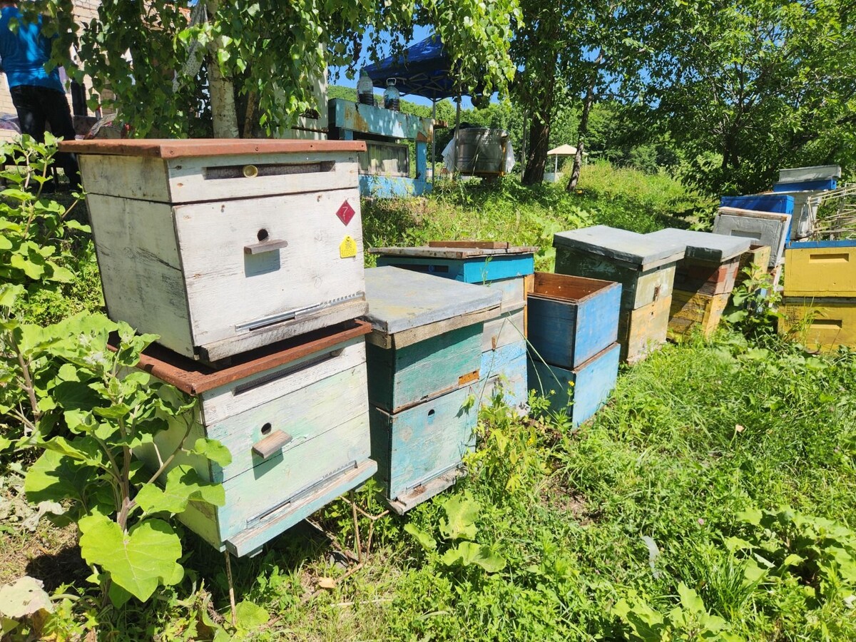     Источник: vostokmedia.com