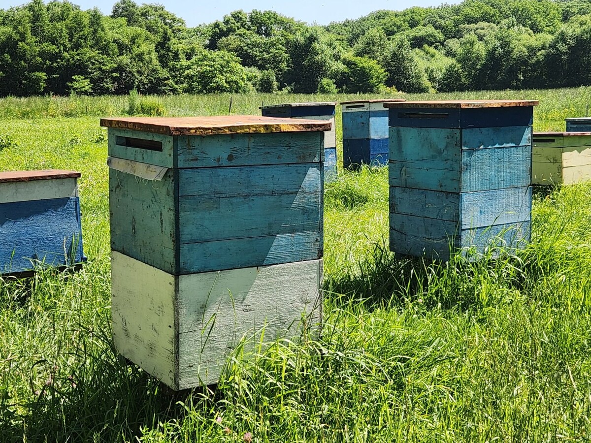     Источник: vostokmedia.com