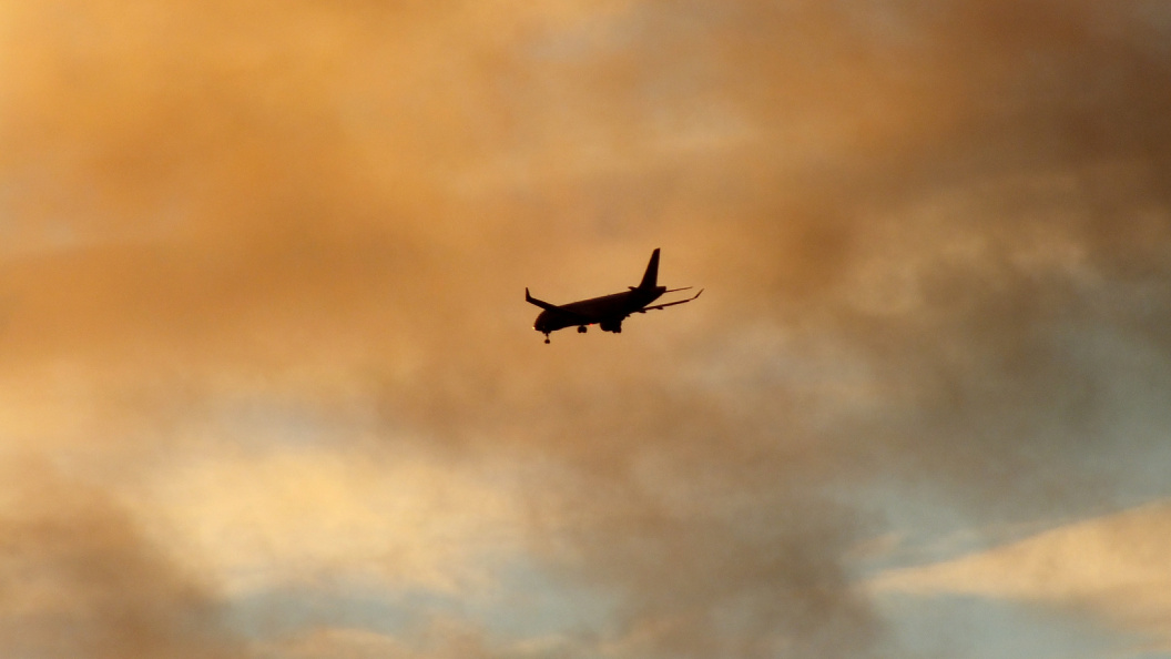    Фото: Victor Lisitsyn/Globallookpress