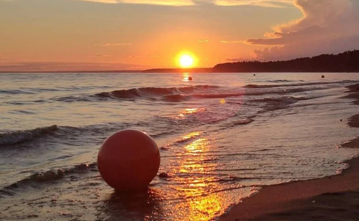    Где в Санкт-Петербурге искать песчаные пляжи и живописные экотропы