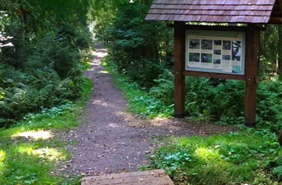   Санкт-Петербург делает значительные шаги в развитии экологического туризма. Фото Visit-Petersburg