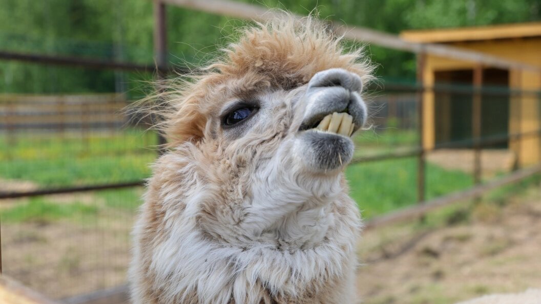    Фото: Shatokhina Natalia/news.ru/Globallookpress