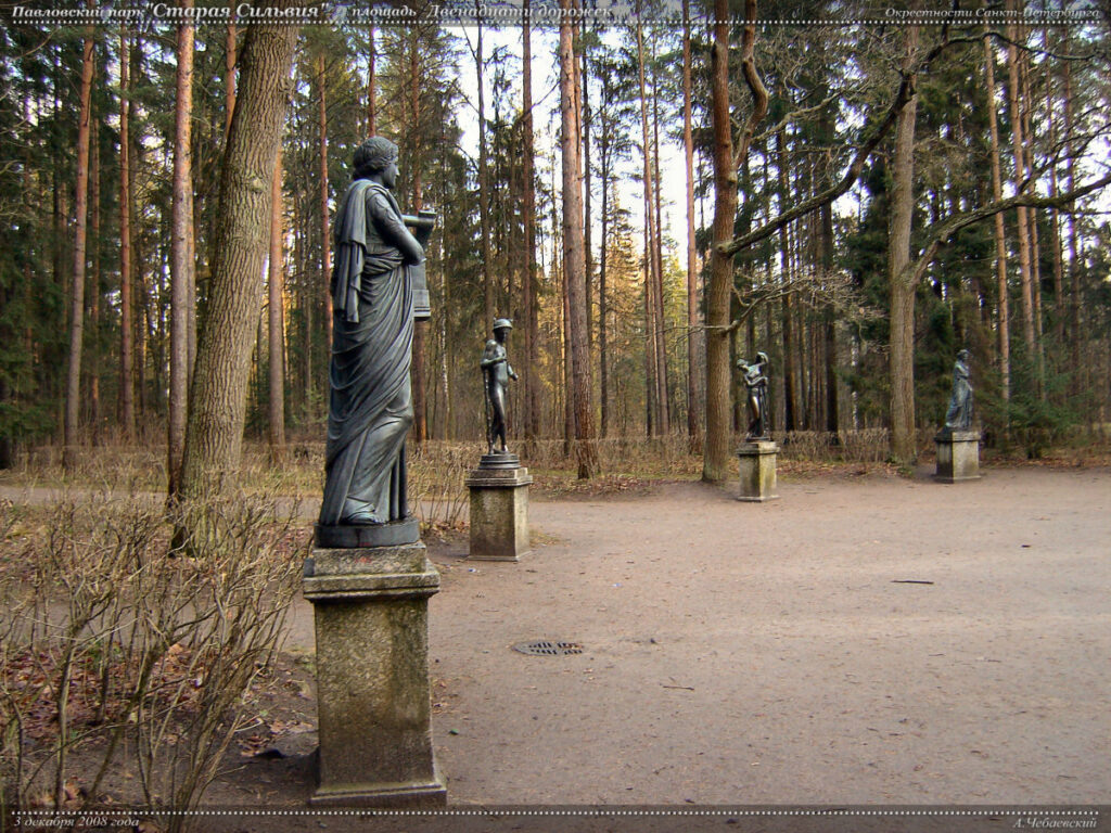    Digital StillCamera admin