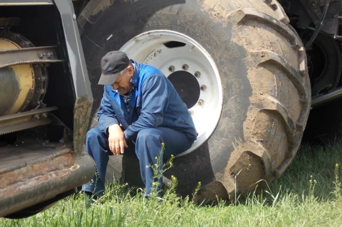    Во многих хозяйствах сейчас дорабатывают своё специалисты старше 50–60 лет.