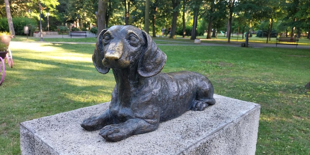 Интересный факт: Памятник для отважной таксы