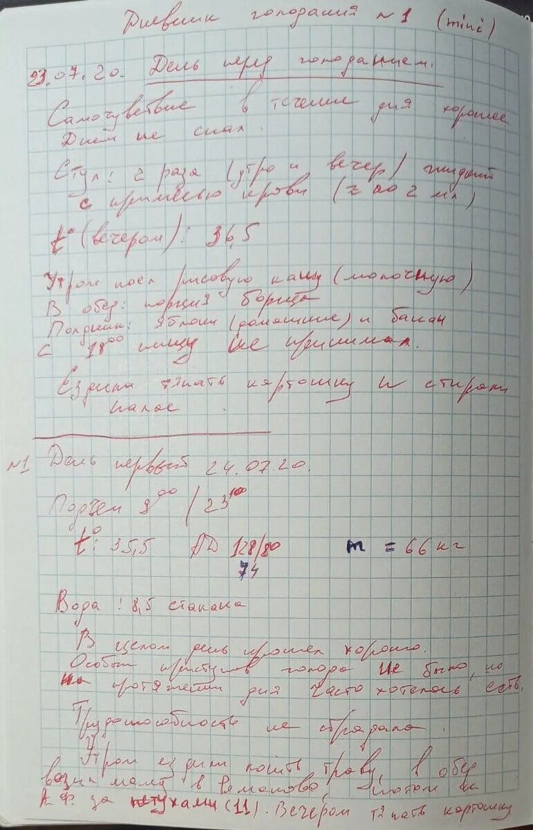 Фрагмент дневника