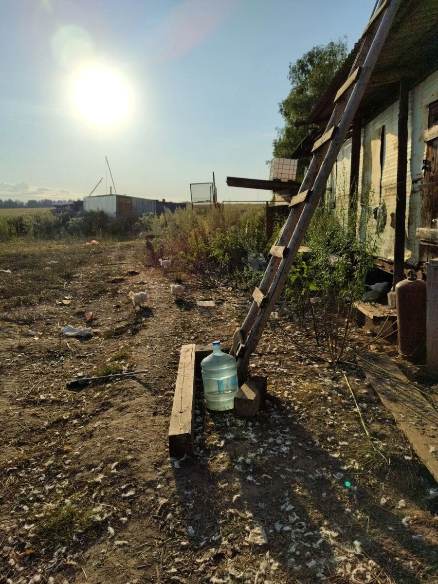     Источник: udm-info.ru