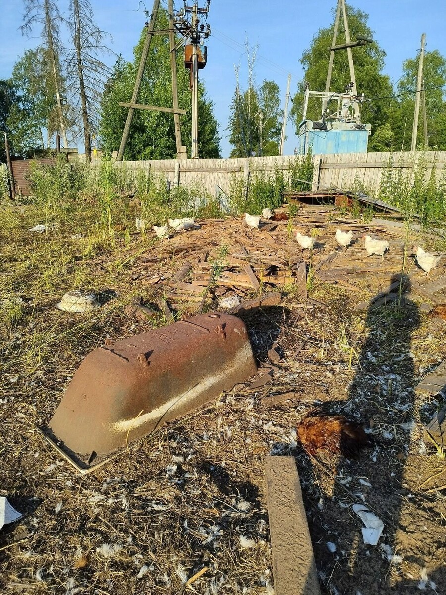     Источник: udm-info.ru