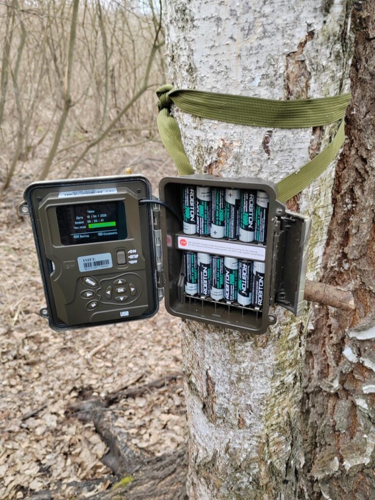 Фото: из архива нацпарка «Нижняя Кама»