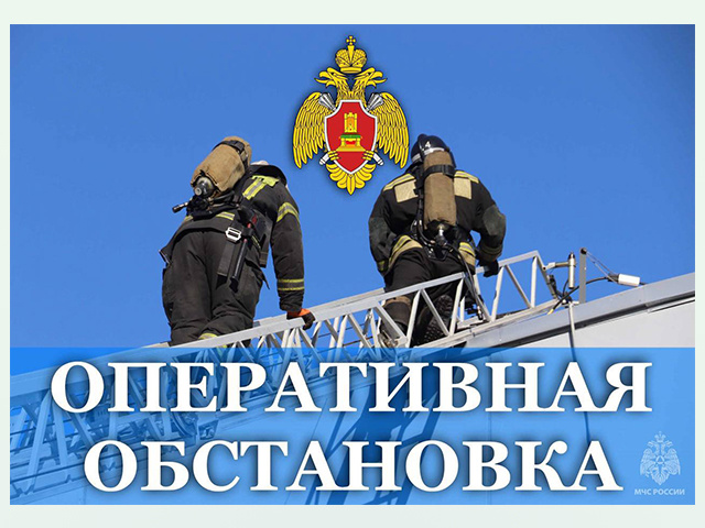 Жары больше, пожаров меньше в Тверской области