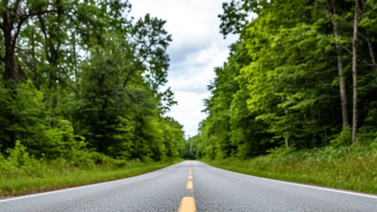    Сгенерировано ИИ