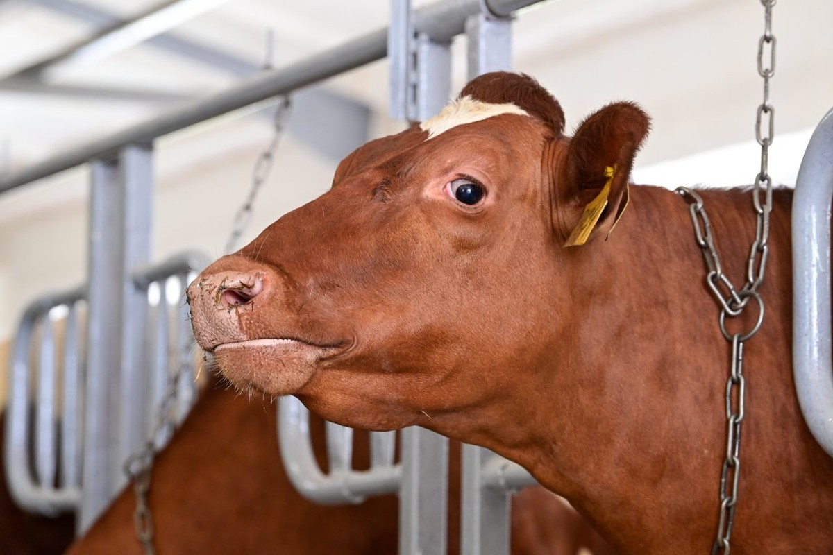    Фото: "Республика"/ Сергей Юдин