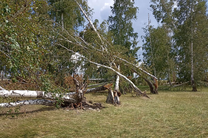    Фото с сайта nasha-zhizn.ru