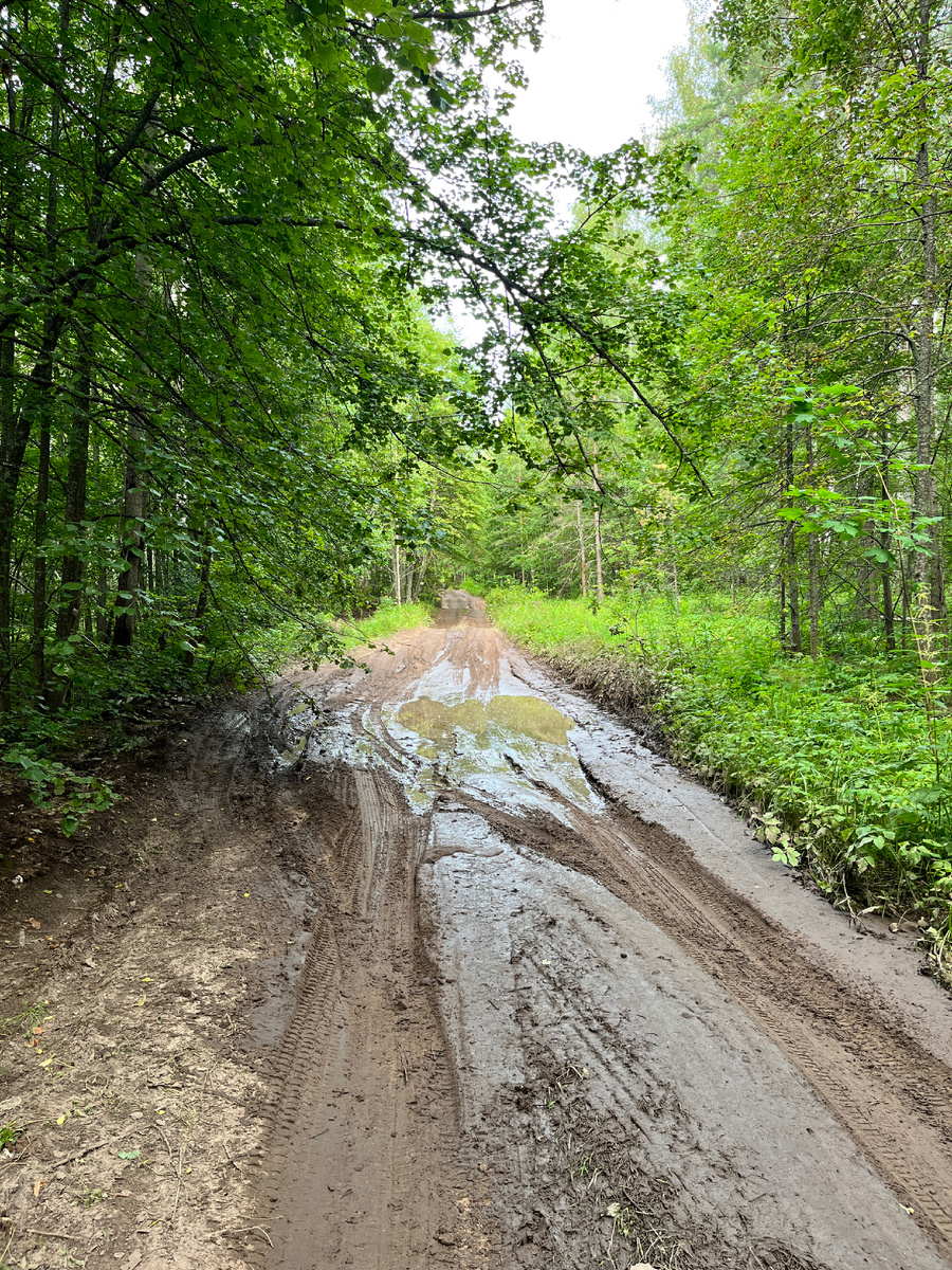 Развезло, однако