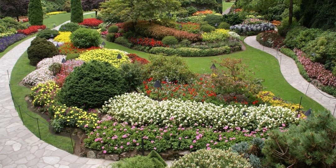 Умный сад. Живая картина в саду: миксбордеры