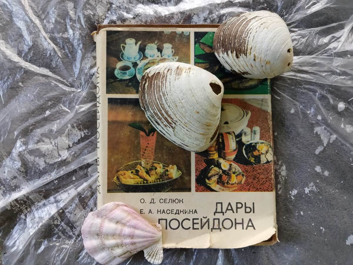 кулинарная книга теперь моя)