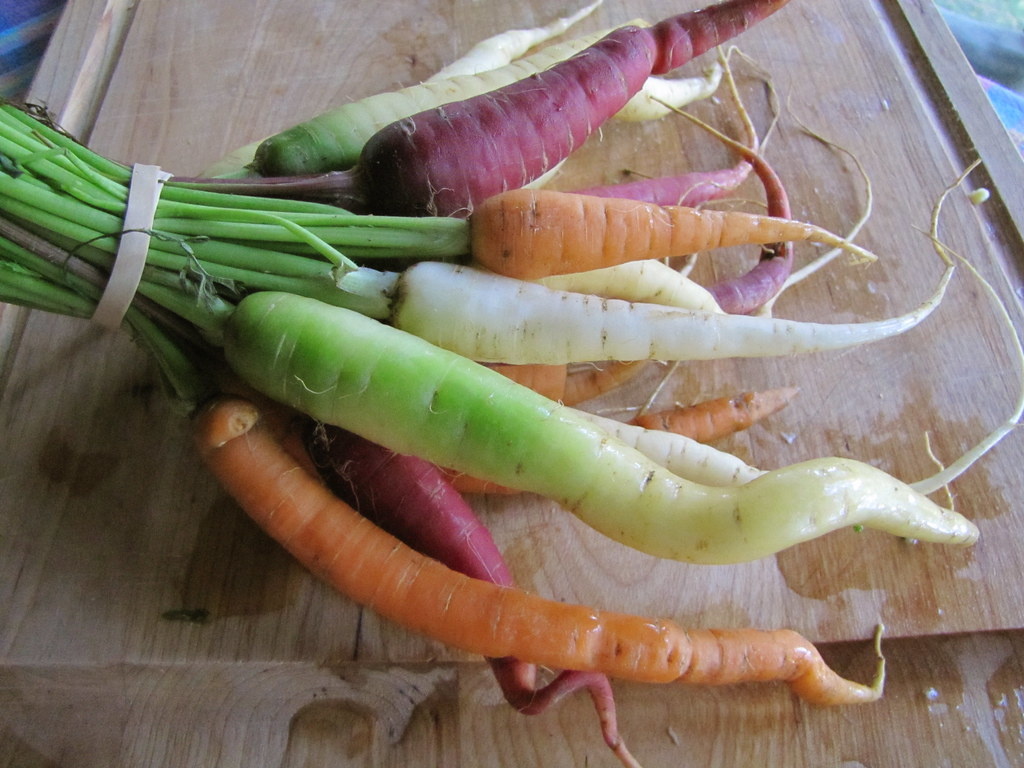 Вот такие цвета  есть сейчас у моркови. Взято из открытых интернет источников для иллюстрации!