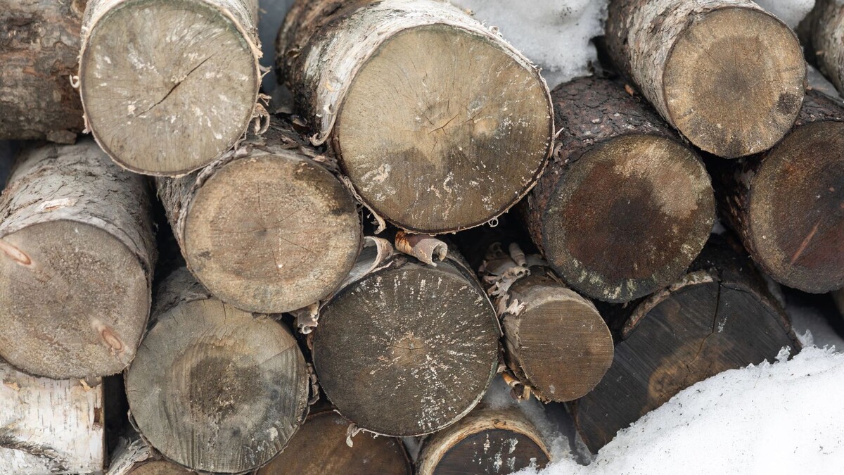    Фото: Александр Чирва/«Ямал-Медиа»