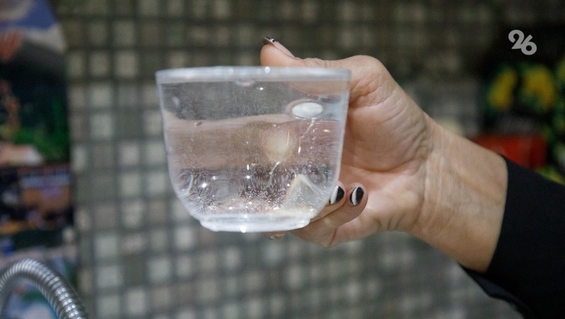      Фото: Дмитрий Ахмадуллин / / ИА «Победа26»