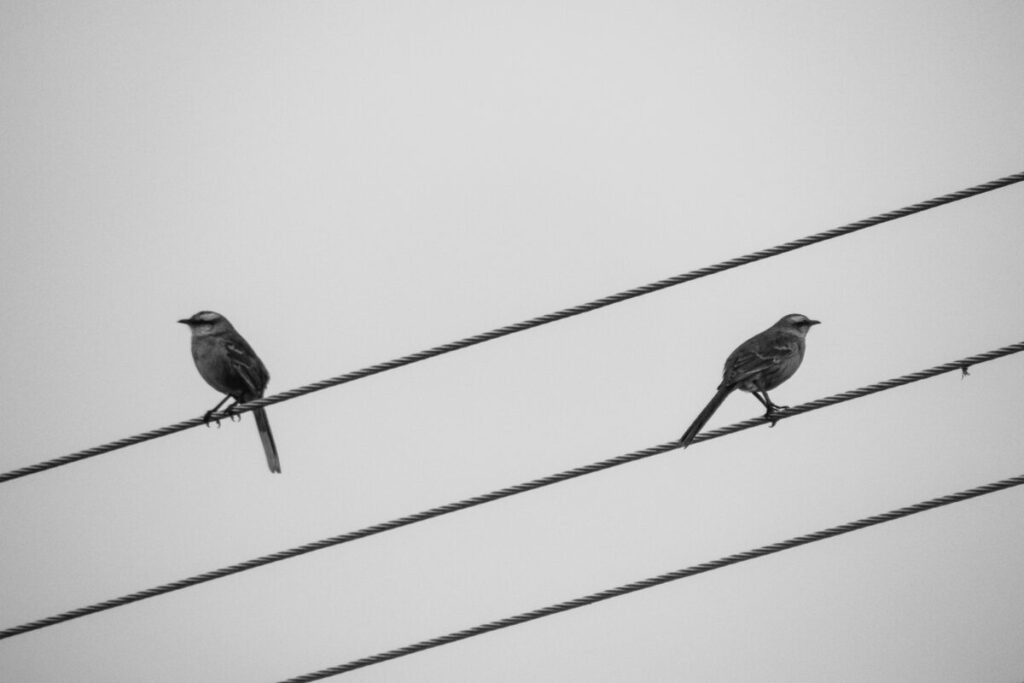 Фото: Eduardo Soares / Unsplash