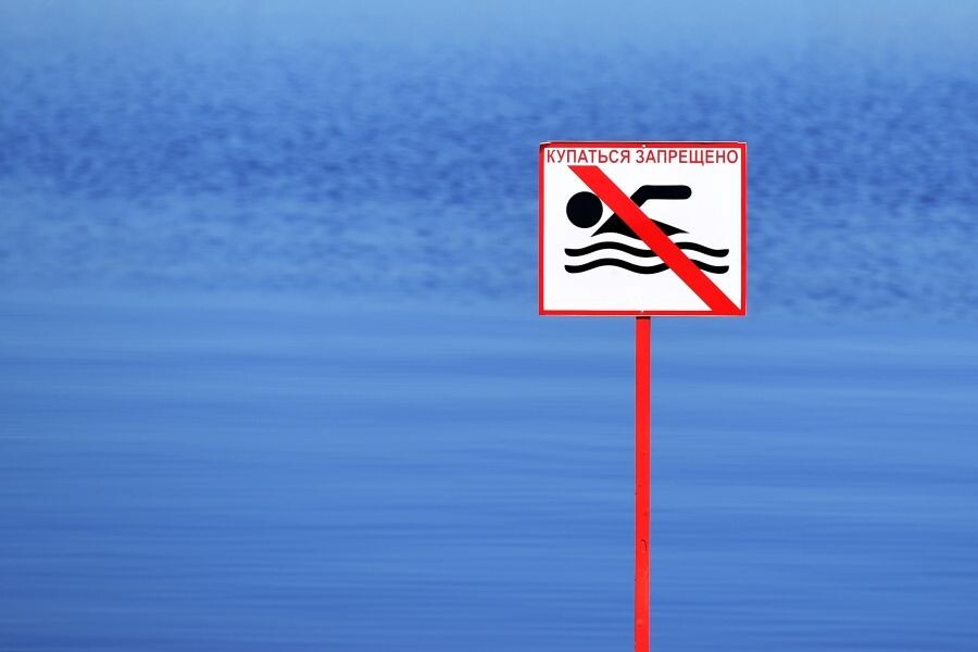     / Источник: © Максим Богодвид/РИА Новости