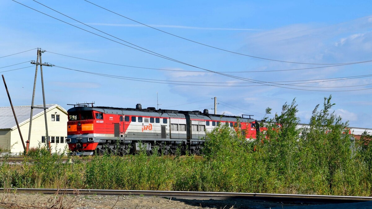    Фото: Андрей Ткачев / «Ямал-Медиа»