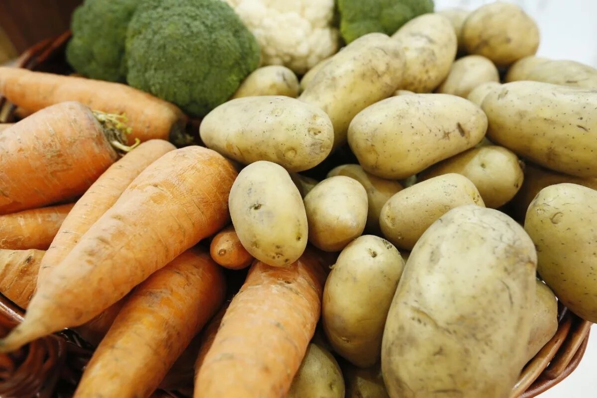    Кубанские фермеры получили гранты на общую сумму 450 млн рублей