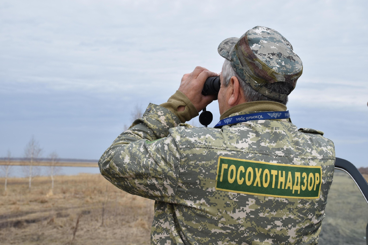 Фото: Анастасия Емельянова