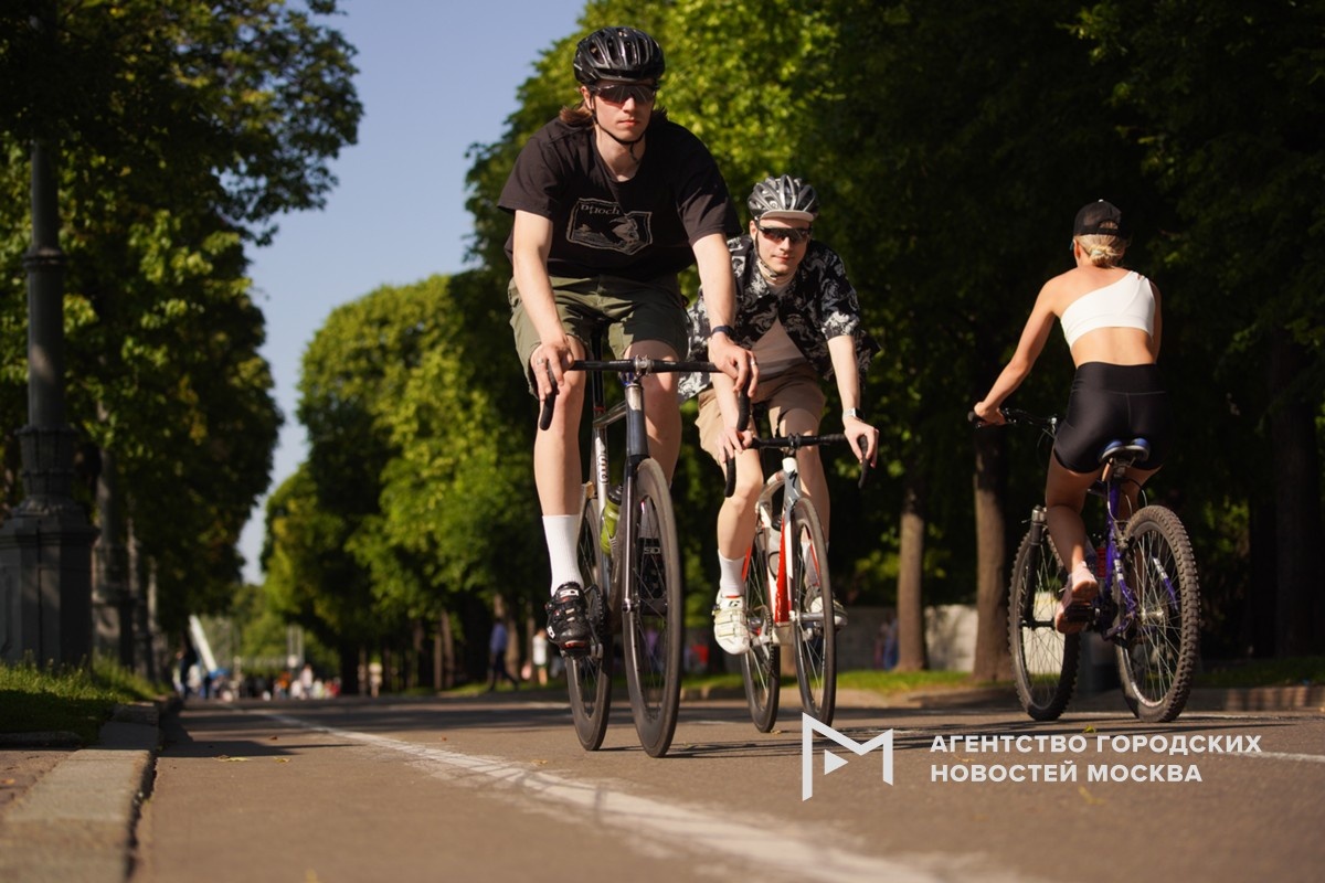 Фотограф: Александр Авилов