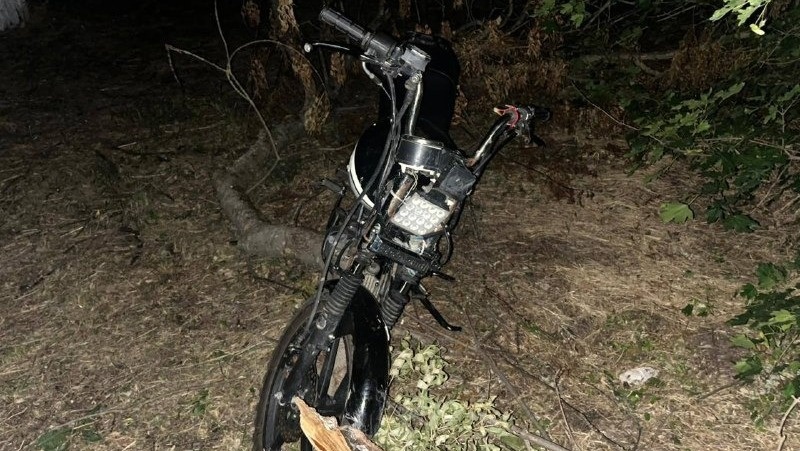      Фото: Госавтоинспекция Ставрополья