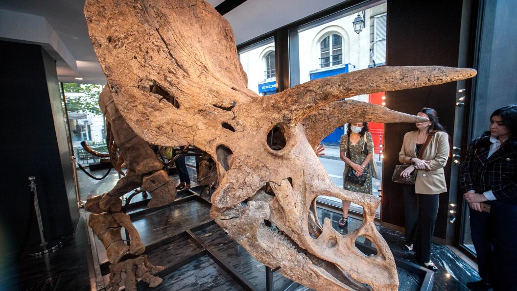    Bruno Levesque/Keystone Press Agency/Globallookpress