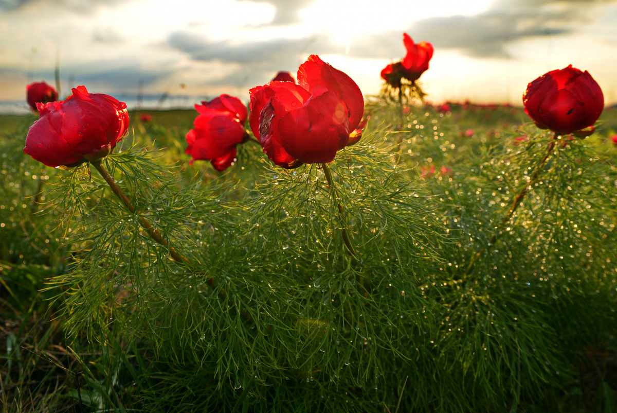 Почему сильнее всего ранят близкие люди