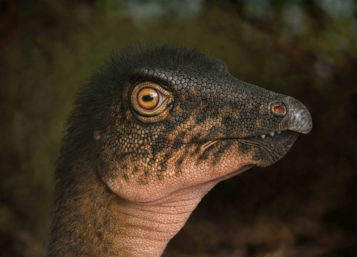    Тесцелозавр — травоядный динозавр, которому могла принадлежать найденная кость