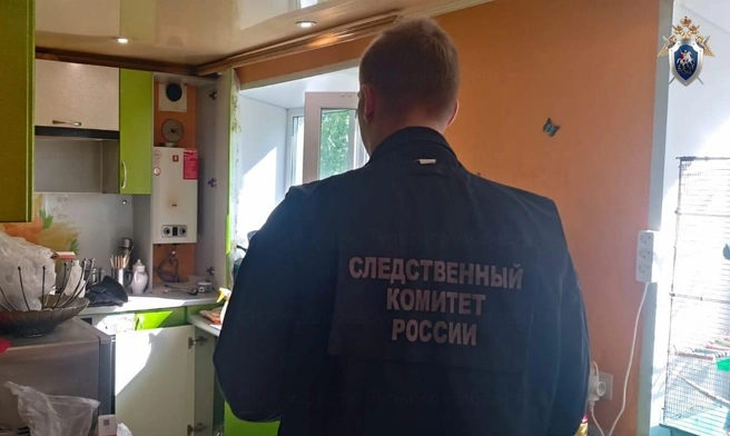 Фото: СУ СК России по Тульской области