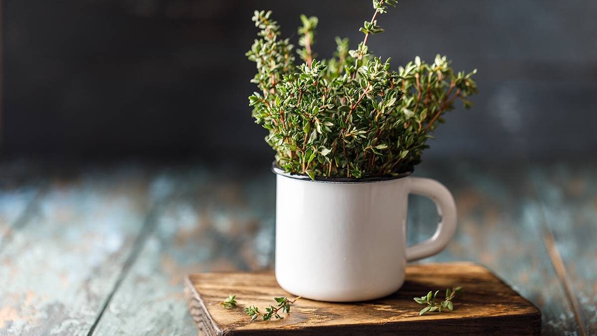    Фото: shutterstock