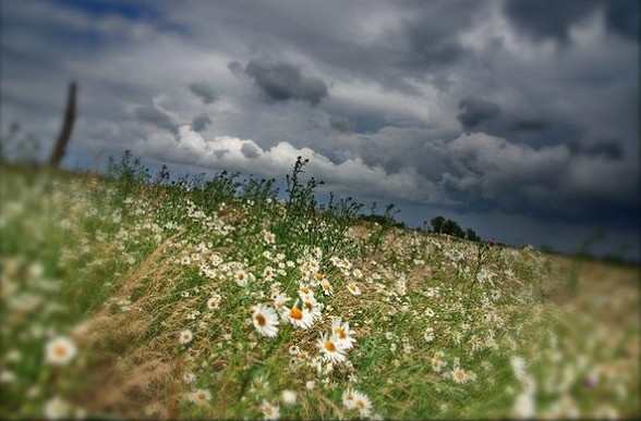 Фото из открытого источника