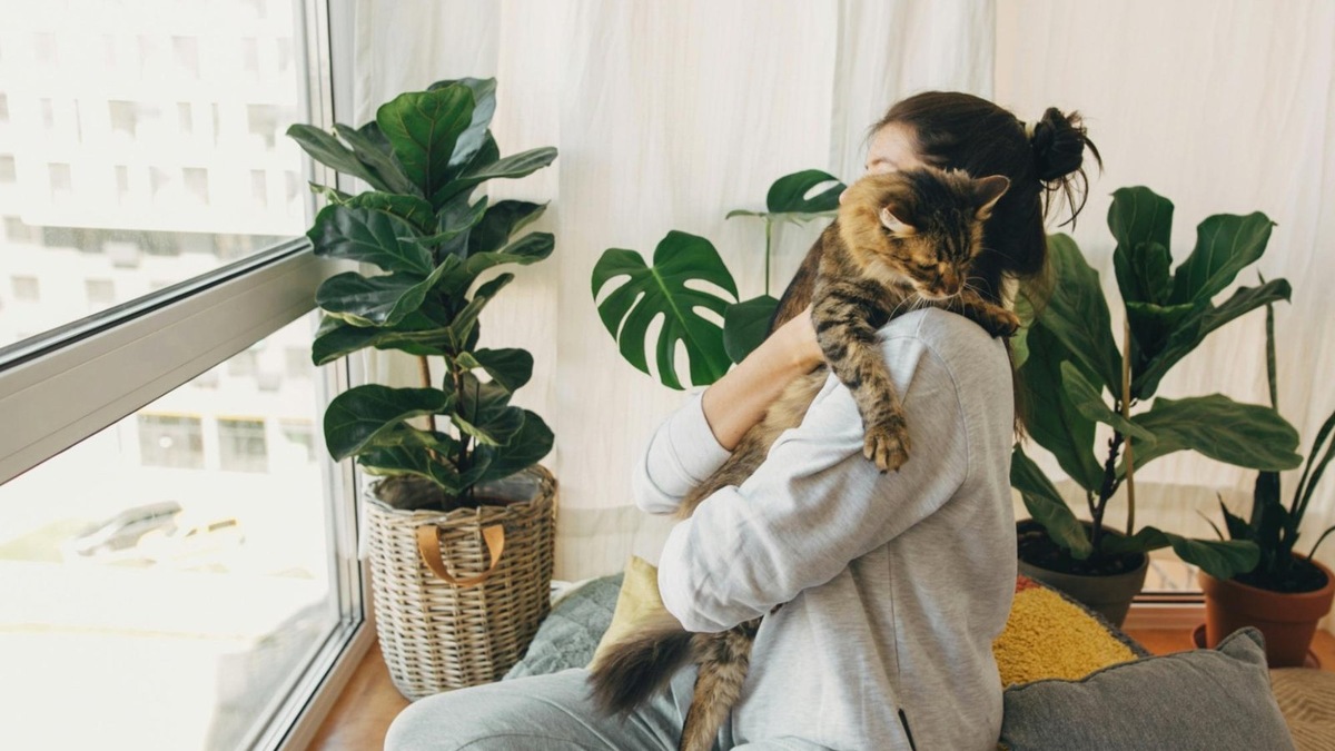    Интересную среду можно создать и дома — так кошке будет меньше хотеться охотиться.