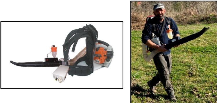    Фото: A Ottaviani