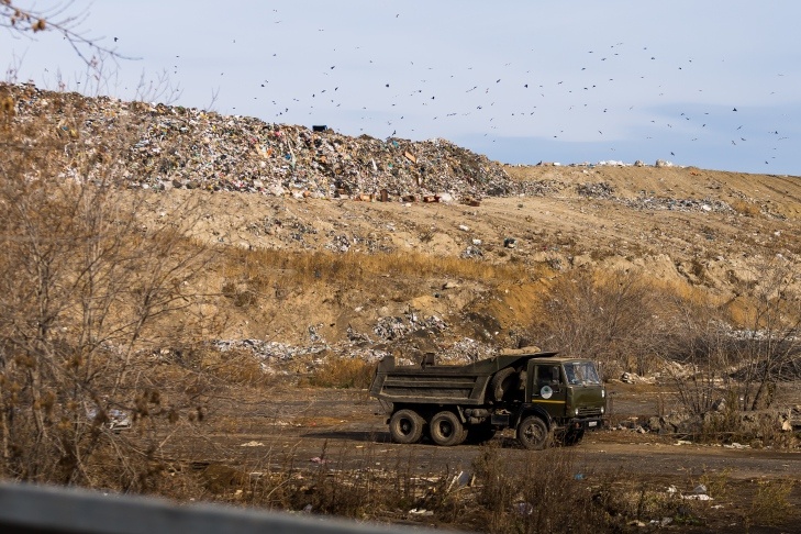    Фото Андрея Заржецкого