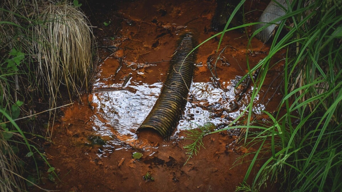     Источник: 1MI